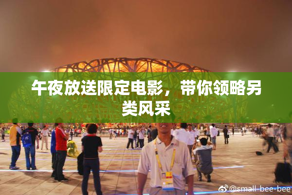午夜放送限定电影，带你领略另类风采