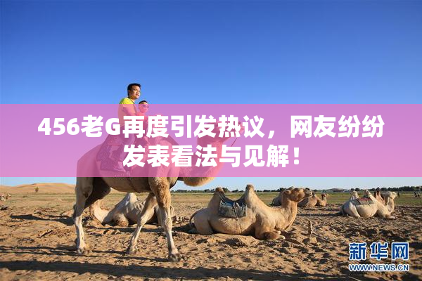 456老G再度引发热议，网友纷纷发表看法与见解！