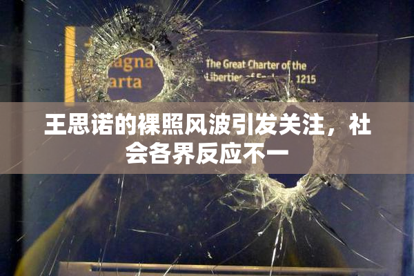 王思诺的裸照风波引发关注，社会各界反应不一