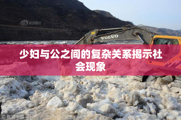 少妇与公之间的复杂关系揭示社会现象