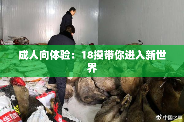 成人向体验：18摸带你进入新世界