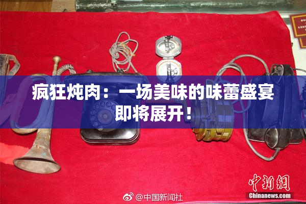 疯狂炖肉：一场美味的味蕾盛宴即将展开！