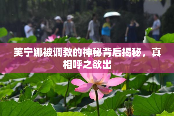 芙宁娜被调教的神秘背后揭秘，真相呼之欲出