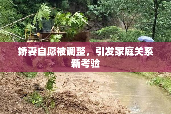娇妻自愿被调整，引发家庭关系新考验
