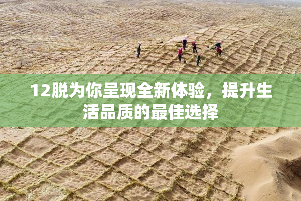 12脱为你呈现全新体验，提升生活品质的最佳选择