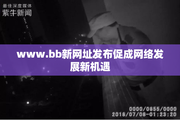 www.bb新网址发布促成网络发展新机遇