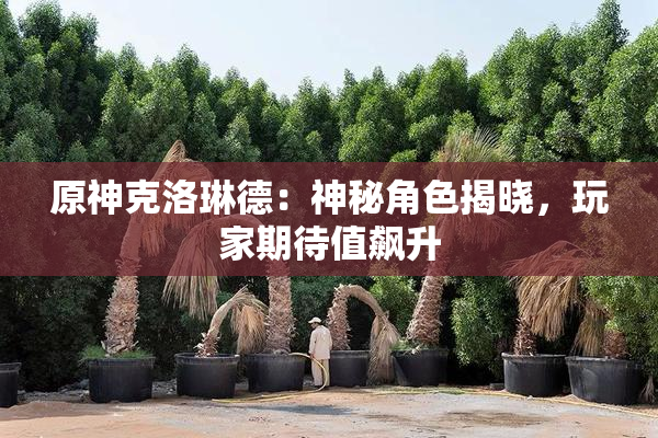 原神克洛琳德：神秘角色揭晓，玩家期待值飙升