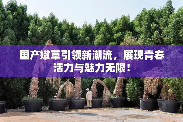 国产嫩草引领新潮流，展现青春活力与魅力无限！