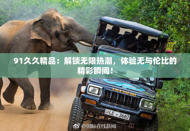 91久久精品：解锁无限热潮，体验无与伦比的精彩瞬间！