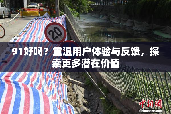 91好吗？重温用户体验与反馈，探索更多潜在价值
