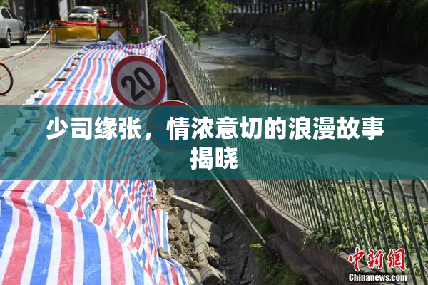 少司缘张，情浓意切的浪漫故事揭晓