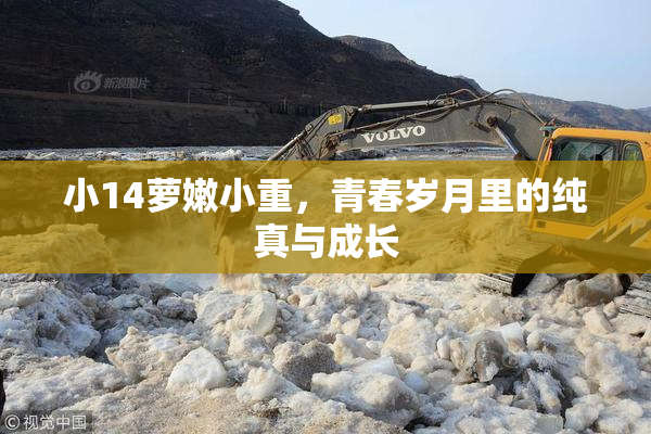 小14萝嫩小重，青春岁月里的纯真与成长
