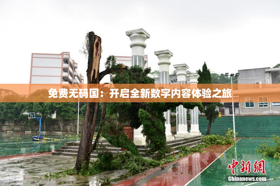 免费无码国：开启全新数字内容体验之旅