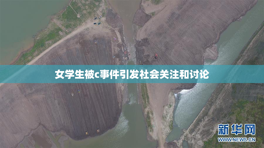 女学生被c事件引发社会关注和讨论