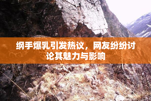 纲手爆乳引发热议，网友纷纷讨论其魅力与影响