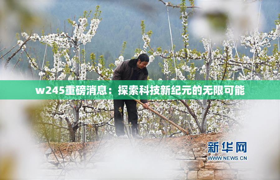 w245重磅消息：探索科技新纪元的无限可能