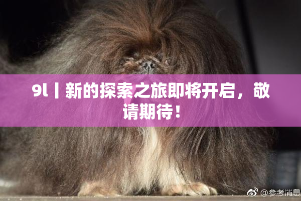 9l丨新的探索之旅即将开启，敬请期待！