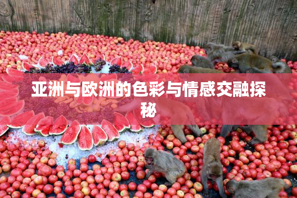 亚洲与欧洲的色彩与情感交融探秘