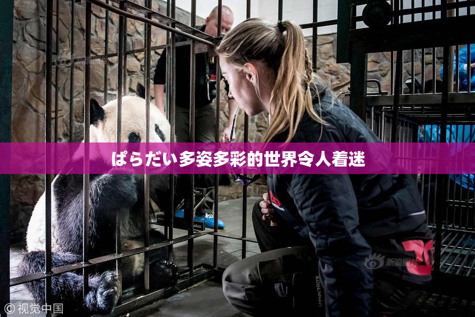 ぱらだい多姿多彩的世界令人着迷