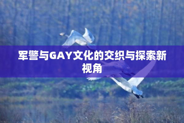 军警与GAY文化的交织与探索新视角