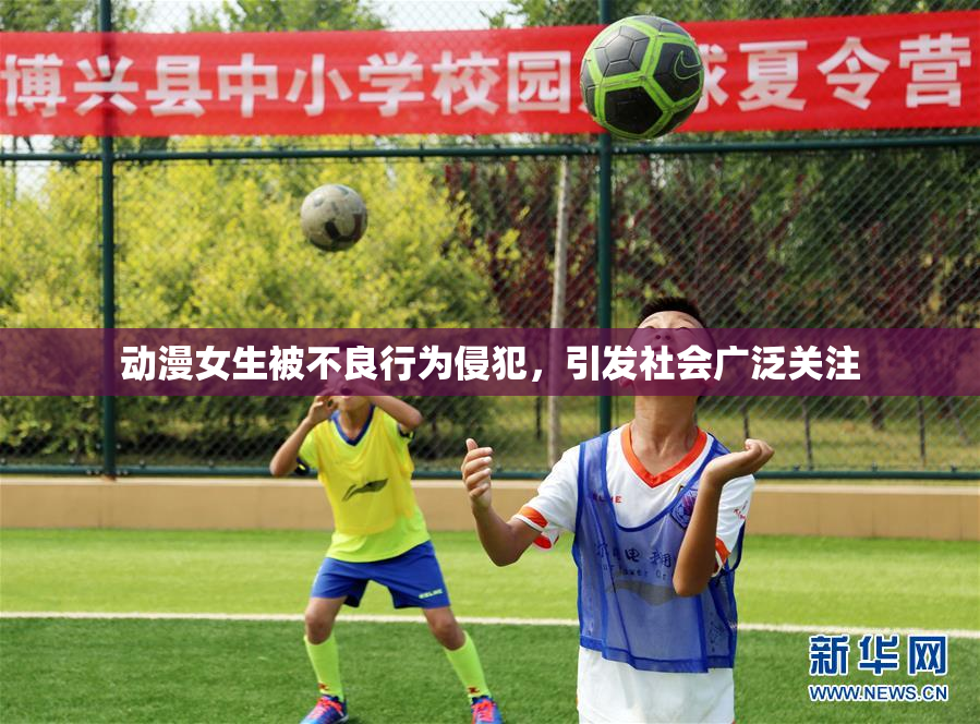 动漫女生被不良行为侵犯，引发社会广泛关注