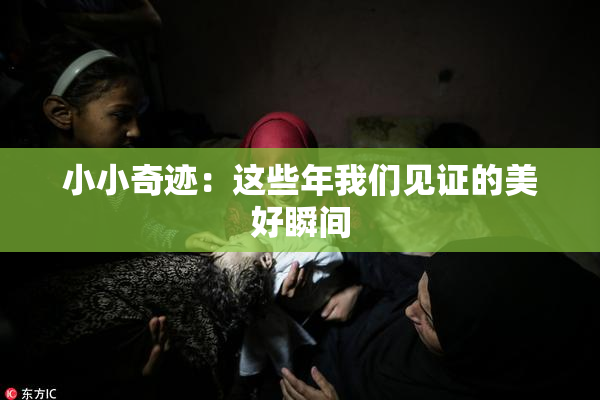 小小奇迹：这些年我们见证的美好瞬间