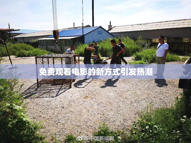 免费观看电影的新方式引发热潮