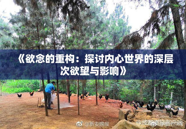 《欲念的重构：探讨内心世界的深层次欲望与影响》