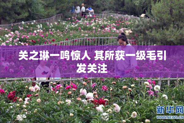 关之琳一鸣惊人 其所获一级毛引发关注