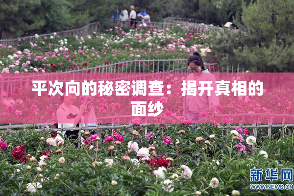 平次向的秘密调查：揭开真相的面纱