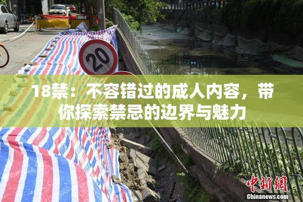 18禁：不容错过的成人内容，带你探索禁忌的边界与魅力