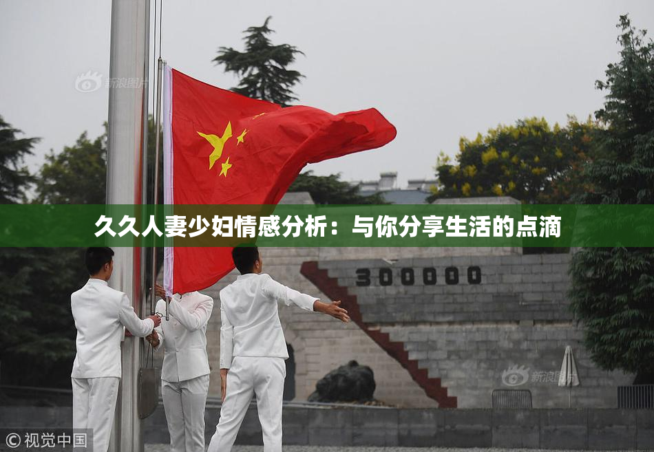 久久人妻少妇情感分析：与你分享生活的点滴
