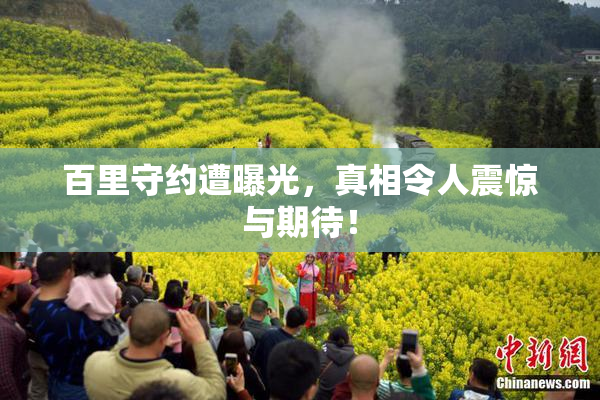 百里守约遭曝光，真相令人震惊与期待！
