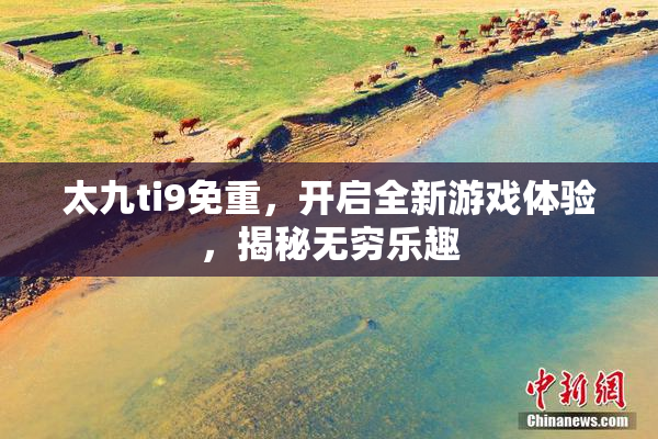 太九ti9免重，开启全新游戏体验，揭秘无穷乐趣
