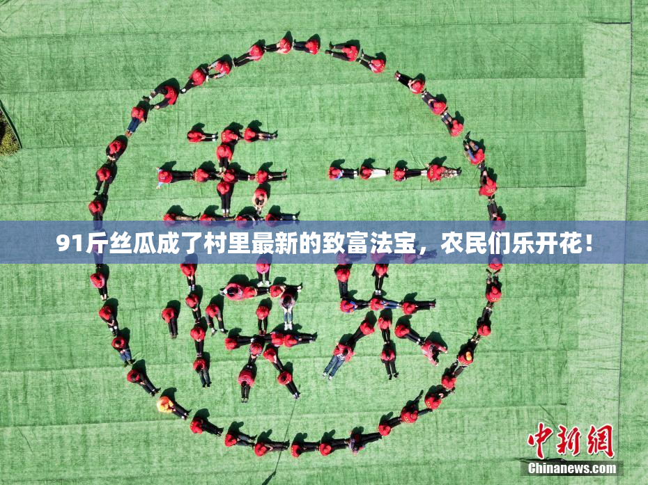 91斤丝瓜成了村里最新的致富法宝，农民们乐开花！