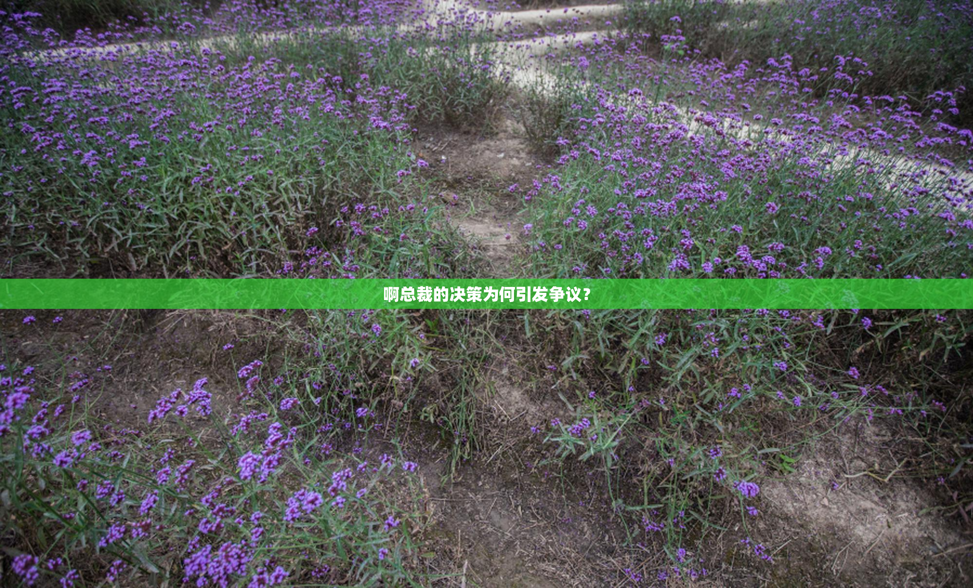 啊总裁的决策为何引发争议？