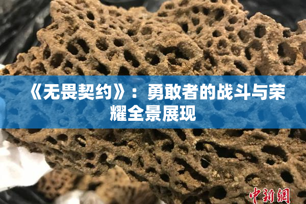 《无畏契约》：勇敢者的战斗与荣耀全景展现