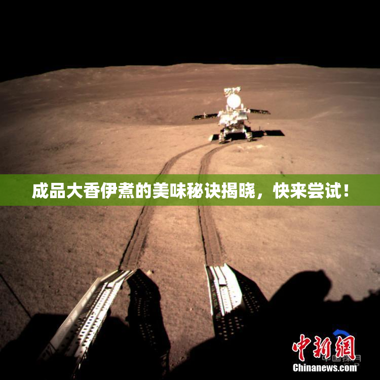 成品大香伊煮的美味秘诀揭晓，快来尝试！