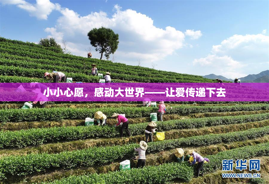 小小心愿，感动大世界——让爱传递下去
