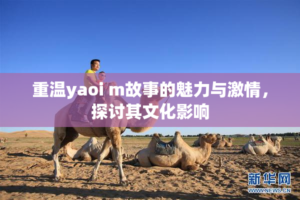 重温yaoi m故事的魅力与激情，探讨其文化影响