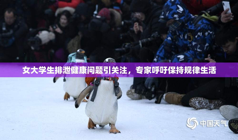 女大学生排泄健康问题引关注，专家呼吁保持规律生活