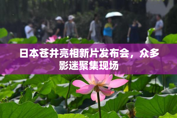日本苍井亮相新片发布会，众多影迷聚集现场