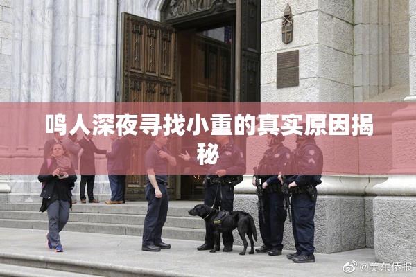鸣人深夜寻找小重的真实原因揭秘