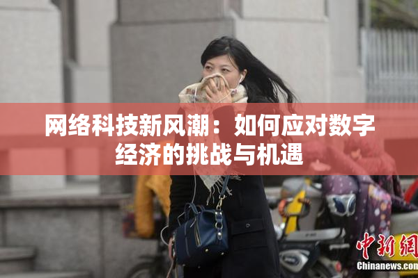 网络科技新风潮：如何应对数字经济的挑战与机遇