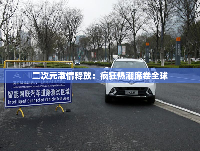 二次元激情释放：疯狂热潮席卷全球