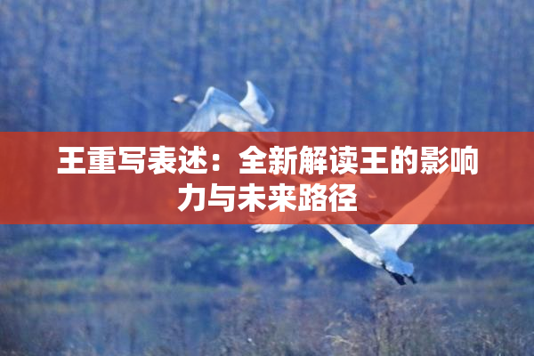 王重写表述：全新解读王的影响力与未来路径