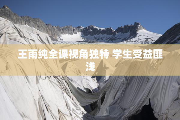 王雨纯全课视角独特 学生受益匪浅