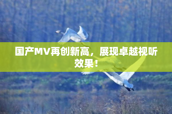 国产MV再创新高，展现卓越视听效果！
