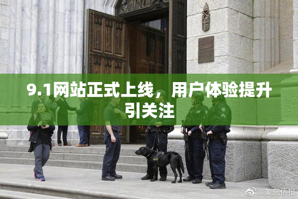9.1网站正式上线，用户体验提升引关注