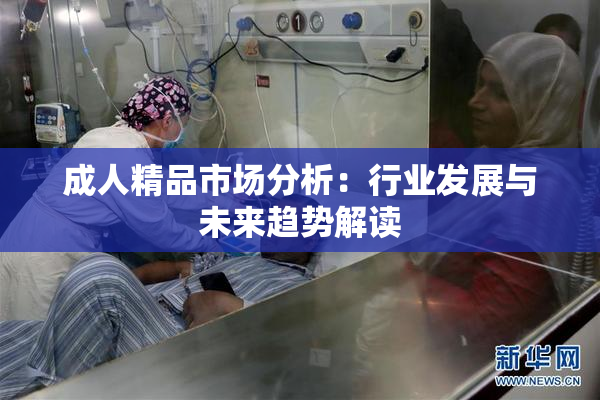 成人精品市场分析：行业发展与未来趋势解读